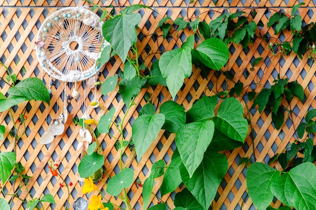 Clôture en bois avec plantes grimpantes et capteur de rêves sur balcon, terrasse de jardin véranda moderne.