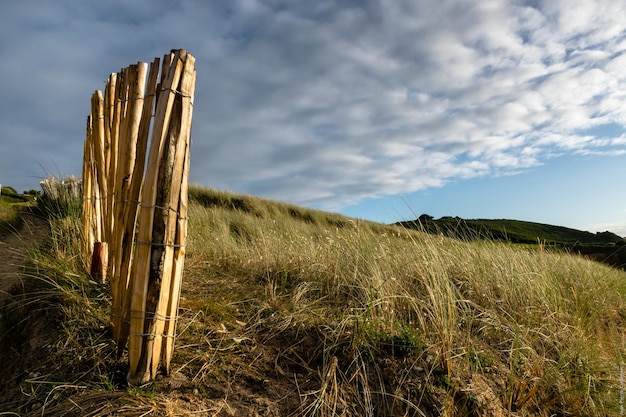 Une clôture sur un champ herbeux contre un ciel nuageux