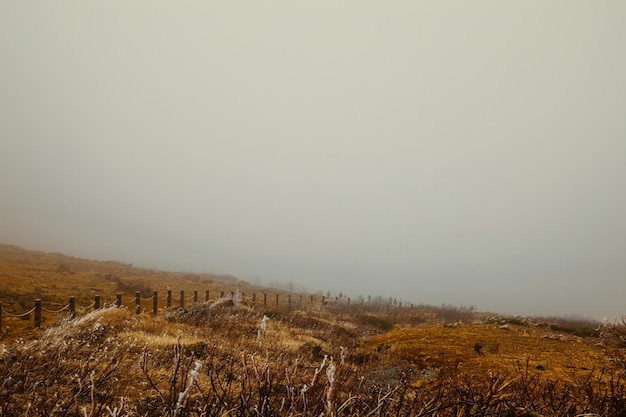 Une clôture dans un champ avec un phare sur le côté gauche.