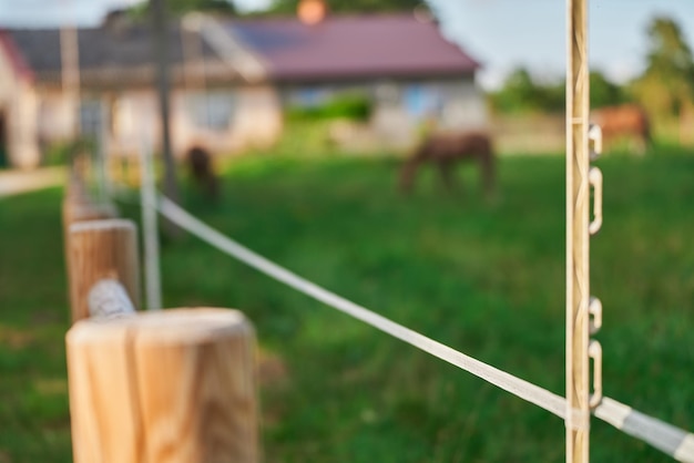Une clôture électrique avec des fils et des équipements isolants sécurise un pâturage où les chevaux et les vaches se nourrissent de l'herbe et de l'ensilage, assurant la sécurité et les soins des animaux de la ferme.