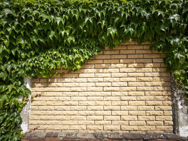 La clôture est faite de brique texturée beige recouverte de plantes