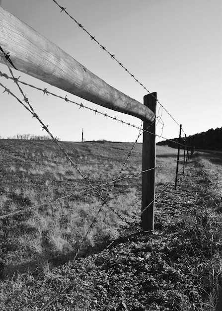 Photo une clôture en fil de fer barbelé sur le terrain contre un ciel dégagé