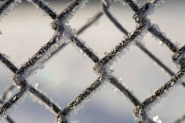 Clôture gelée en treillis métallique recouvert de cristaux de givre tôt le matin froid et ensoleillé