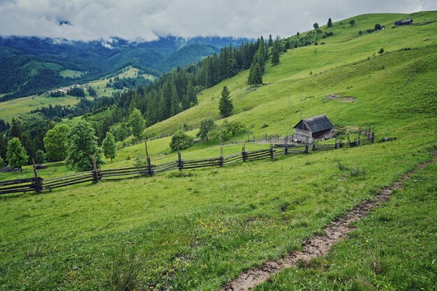 Clôture de paysage composite près de la route transversale sur le pré à flanc de colline dans les montagnes