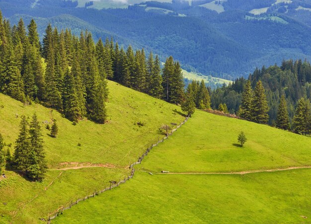 Clôture de paysage composite près de la route transversale sur le pré à flanc de colline dans les montagnes