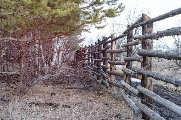 Clôture pour animaux sauvages dans la forêt