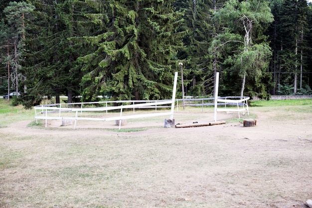 Clôture pour les chevaux dans la nature