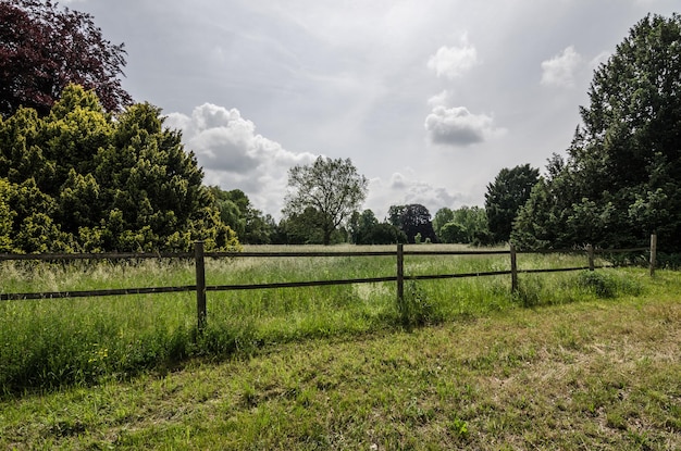 Clôture sur un ranch de chevaux