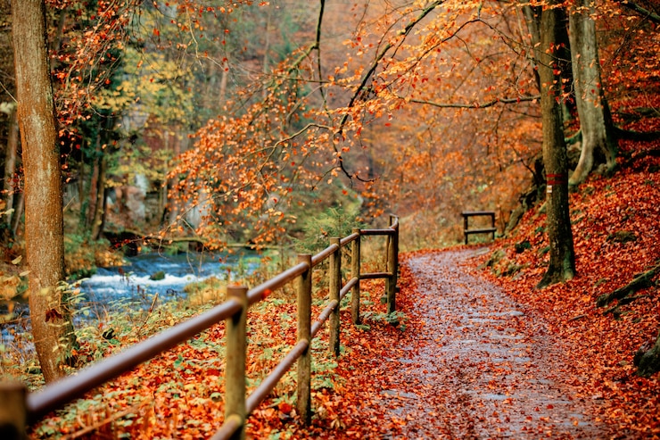 Photo clôture, rivière, montagnes, suisse, tchèque