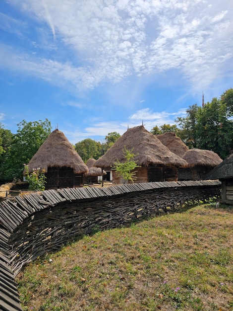 Une clôture avec des toits de paille et des arbres