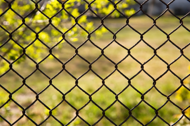 Clôture en treillis de fer dans la nature