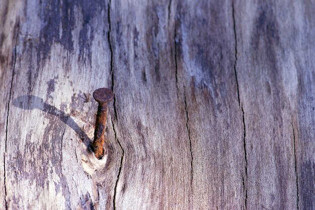 Un clou rouillé sur une vieille bûche de bois