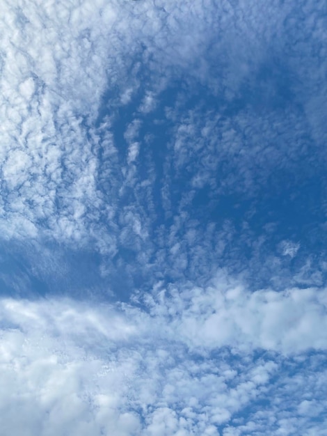 Cloudscape blanc sur fond de ciel bleu