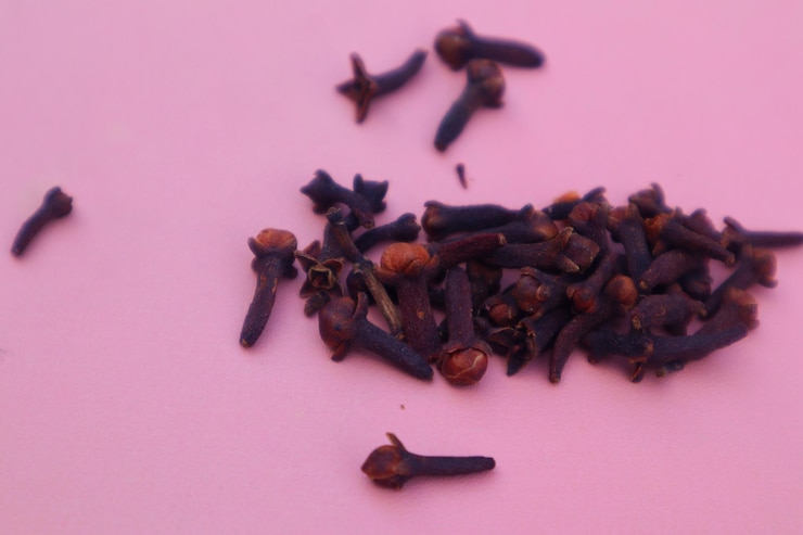Photo cloves syzygium aromaticum l isolé sur un fond rose avec une vue rapprochée