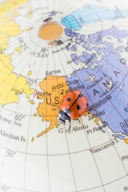 Coccinelle sur un petit globe modèle coloré