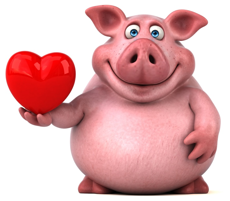 Photo cochon amusant - illustration 3d