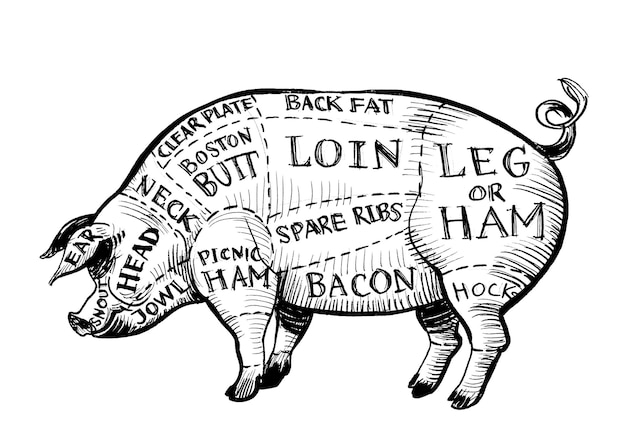 Un cochon avec les mots porc dessus