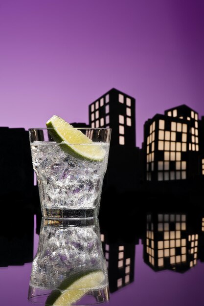 Un cocktail au gin et au tonic de Metropolis