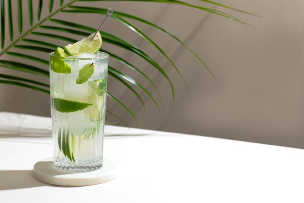 Cocktail Mojito froid avec des glaçons au citron vert et à la menthe Ombre de feuille de palmier tropical