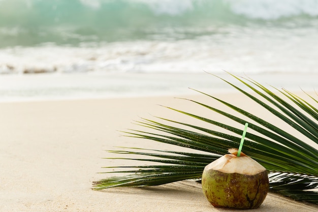 Cocktail en noix de coco et feuille de palmier