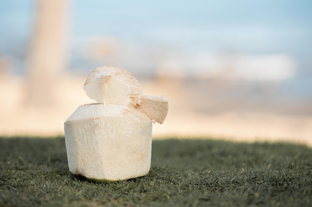 Cocktail de noix de coco fraîche sur fond d'océan