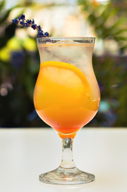 Cocktail orange en verre high ball