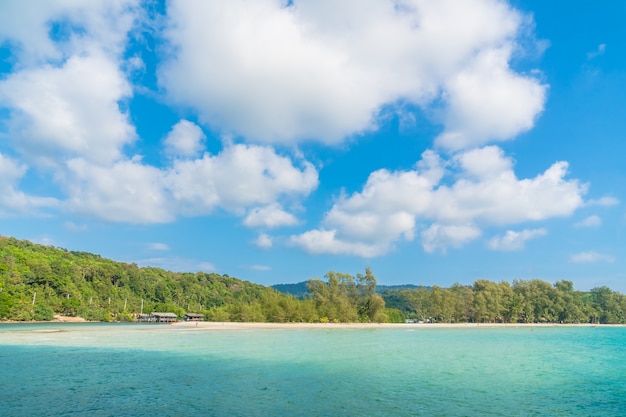 Cocotier sur la plage et la mer