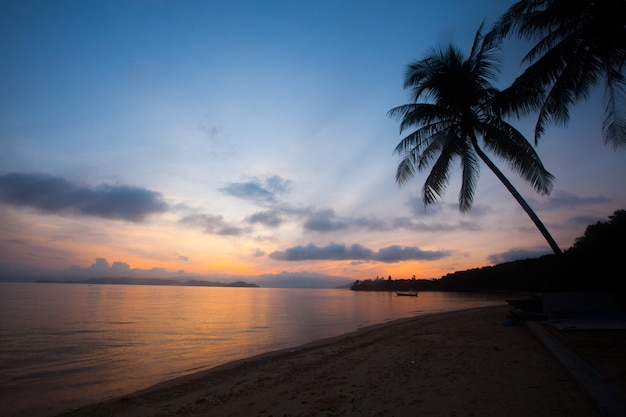 Cocotier Silhoueet avec ciel de lever de soleil