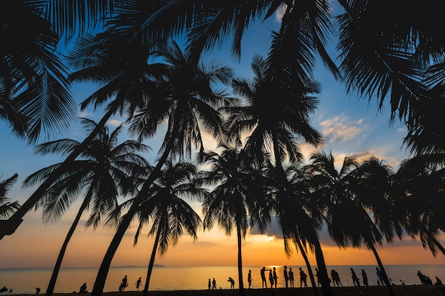 Cocotier silhouette avec plaisir des gens est l'été sur la plage