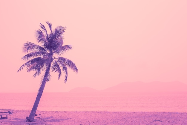 Cocotier tropical sur fond de mer, teinte violette et rose vif. Voyage et tourisme. Carte postale, modèle de texte.