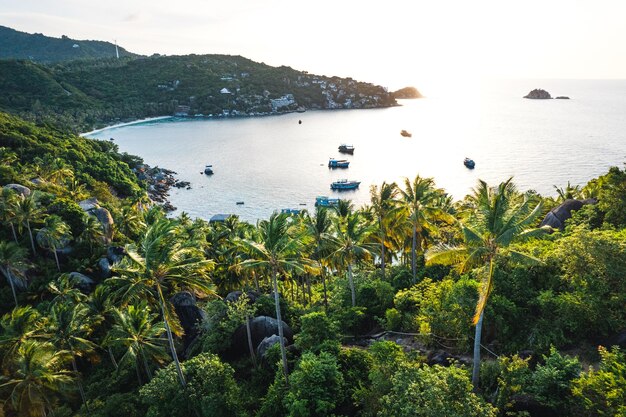 Cocotiers sur l'île et la mer un matin d'été d'en haut