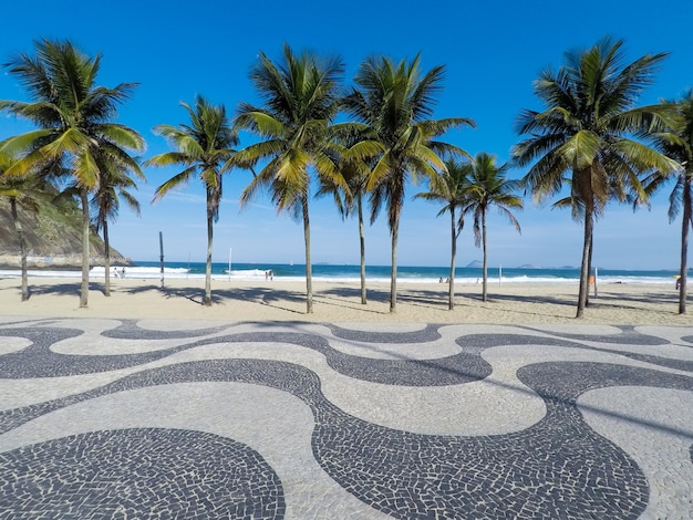 Cocotiers sur la plage de Copacabana Rio de Janeiro Brésil.