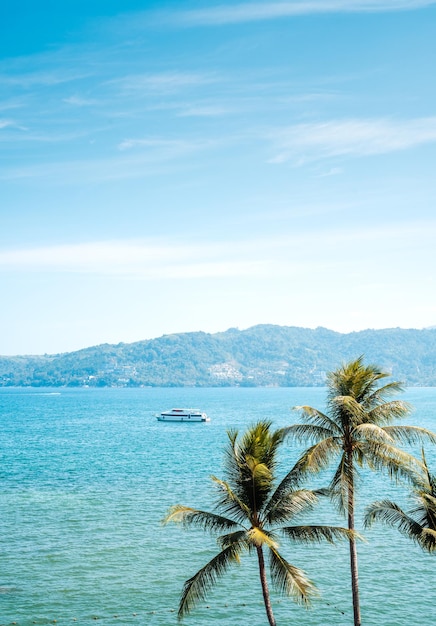 Cocotiers sur la plage de l'île et les vacances d'été