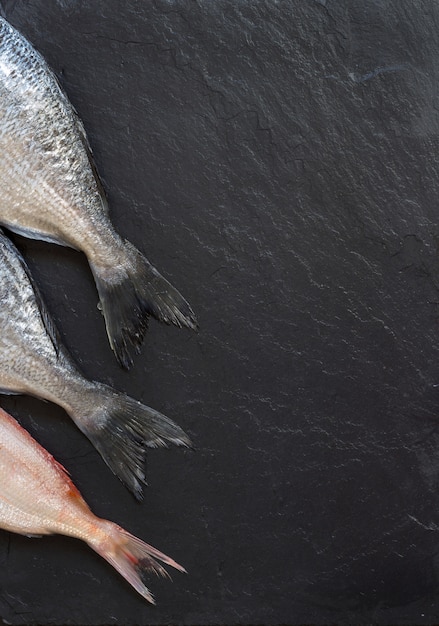 Codes de poisson frais sur table sombre