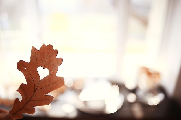 coeur d'automne sur feuille de chêne jaune / symbole de coeur dans la décoration d'automne, concept d'amour d'automne, promenade dans le parc