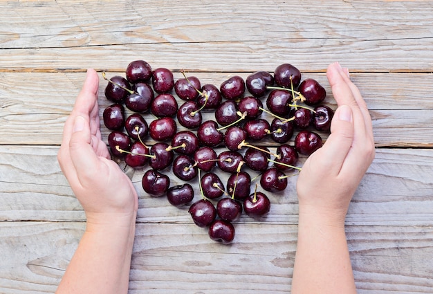 Cœur de cerises fraîches et mûres dans des mains féminines en coupe