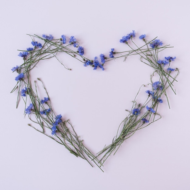 Coeur composé de bleuets bleus sur fond rose Composition de fleurs
