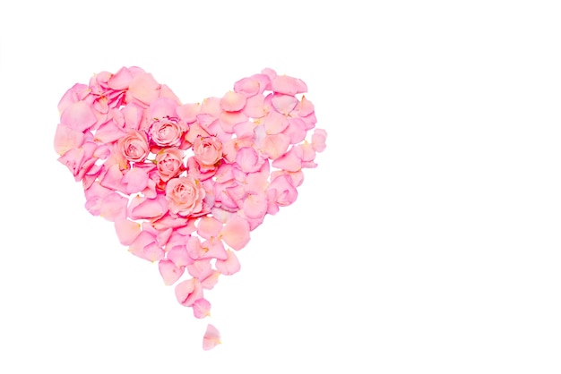 Un coeur composé de pétales de rose de forme élégante