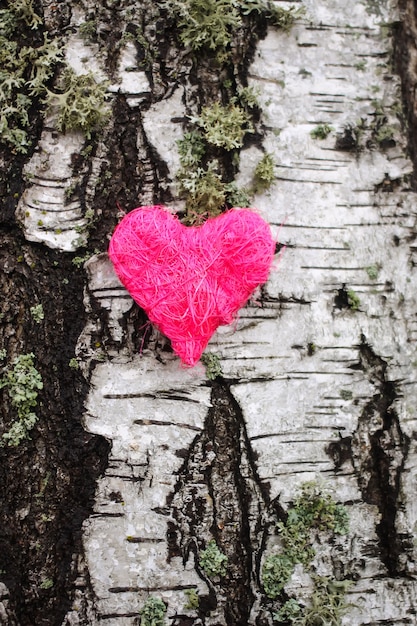 Coeur décoratif sur écorce de bouleau.