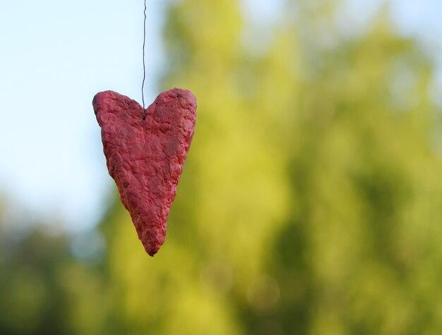 Coeur fait main rouge décoratif sur fond de nature.