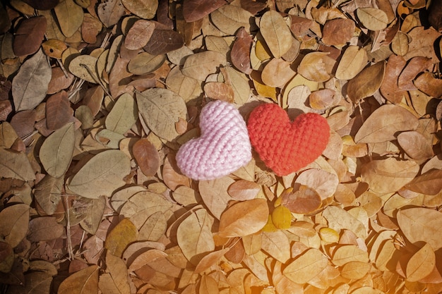 Coeur sur feuilles sèches