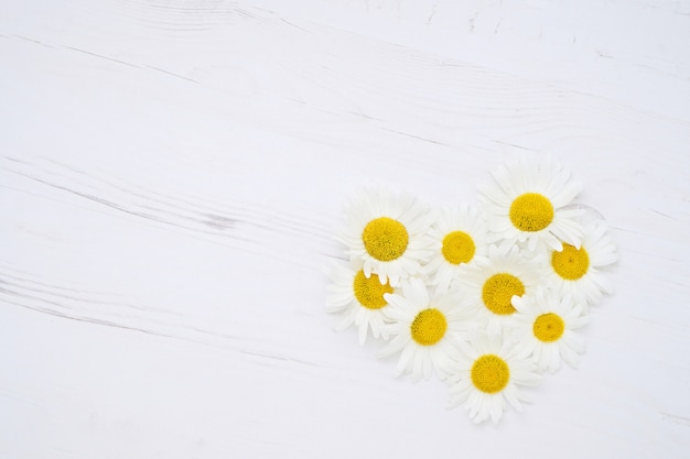 Coeur de fleurs de Marguerite sur bois blanc