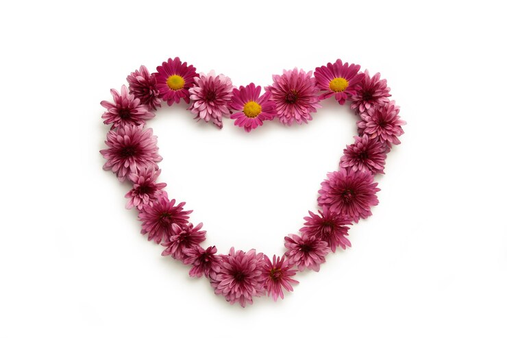 Coeur avec des fleurs violettes isolés sur fond blanc. Notion d'automne.