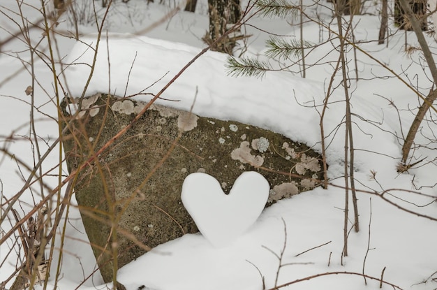 Un coeur de neige est assis sur un rocher dans les bois.