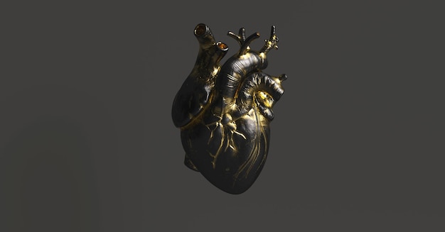 Coeur noir avec or anatomique. Image de concept d'anatomie et de médecine.