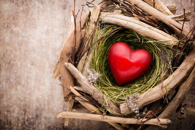 Coeur de Pâques dans le nid sur fond de bois rustique