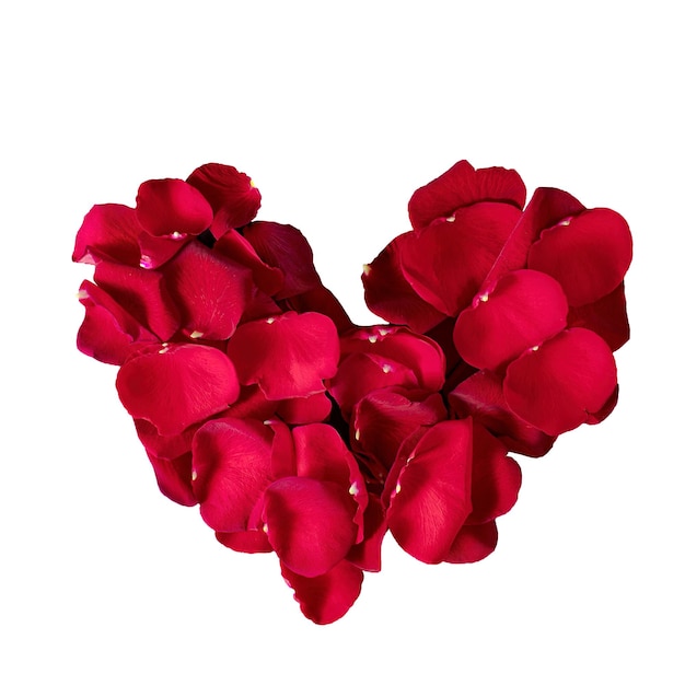 Coeur de pétales de rose coeur fait de pétales de rose rouge isolé sur fond blanc