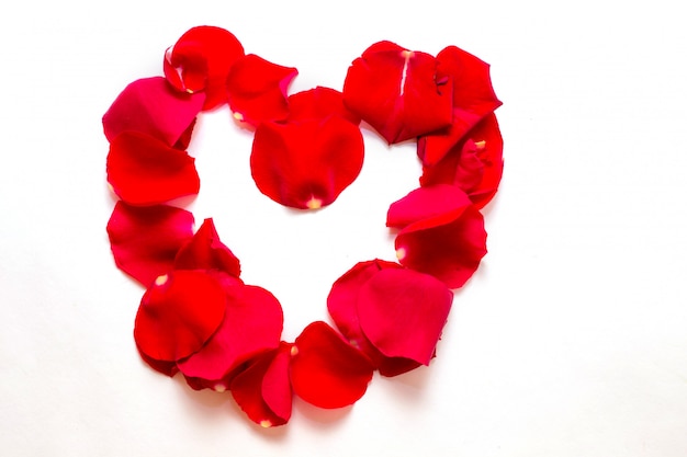 Coeur de pétales de rose rouges sur fond blanc au jour de tous les amoureux. Saint Valentin