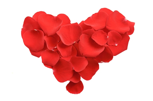Coeur de pétales de rose