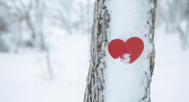 Un cœur rouge sur l'arbre avec une neige